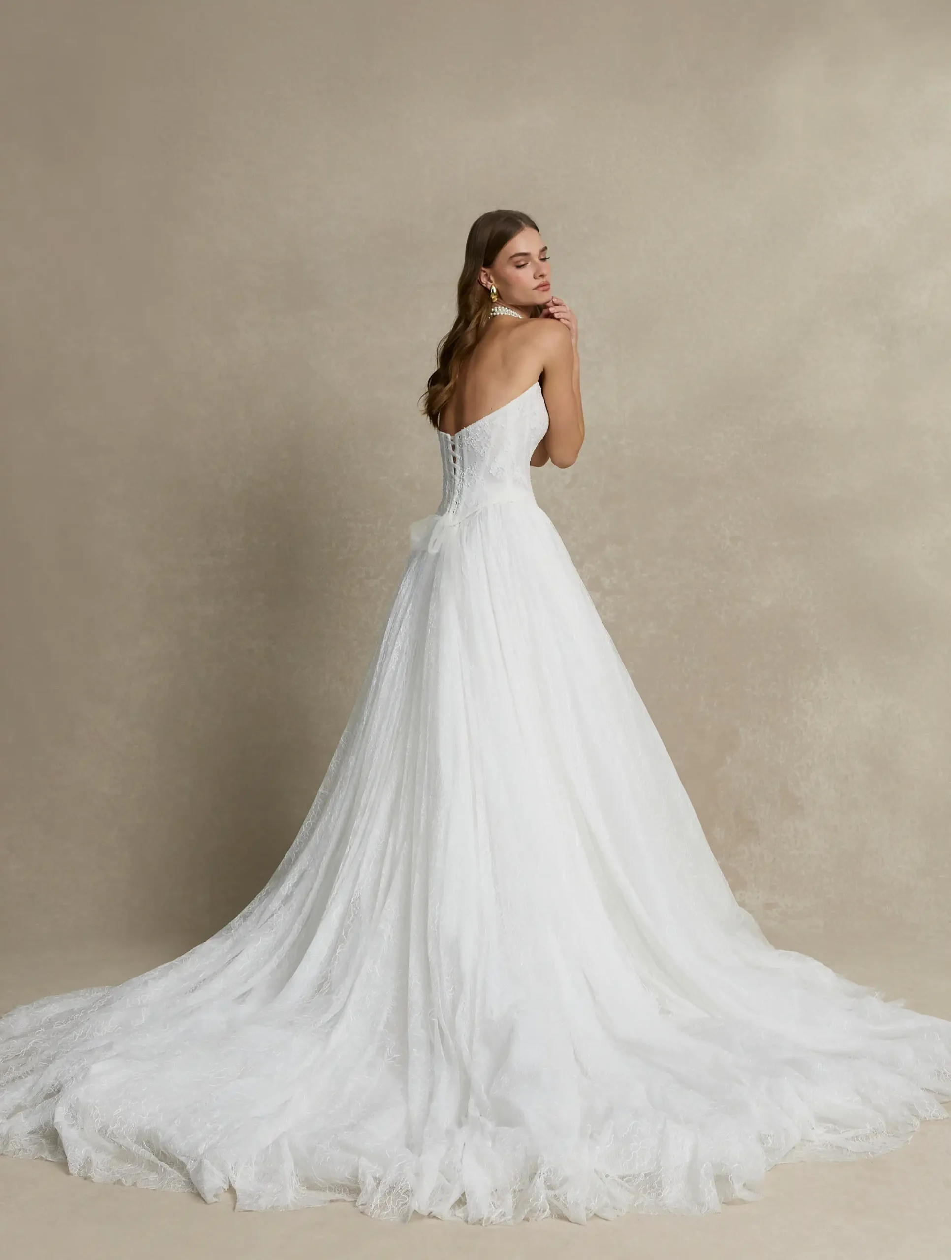 Britta-wedding-dress-by-La-Premier-Bridal-full-back-view-S01-25139-0185